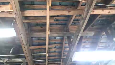 Snapshot of jeepcod87 chatting on 04.03.26 jeepcod87 online show from 04.03.26