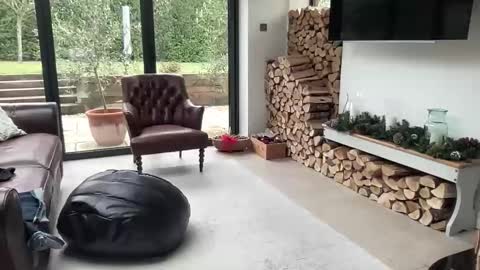 Snapshot of jeeves200 chatting on 12.01.25 Sensual Jeeves online show from 12.01.25