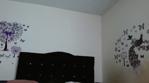 Snapshot of jeff_and_jade chatting on 11.17.25 jeff and jade online show from 11.17.25