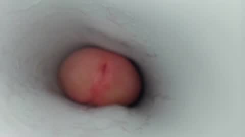 Snapshot of jeffrodgerschaturbat chatting on 01.17.26 jeffrodgerschaturbat online show from 01.17.26