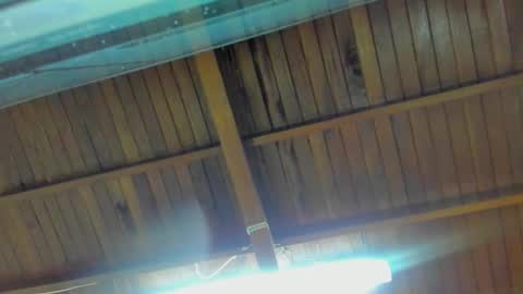 jeicob gagnon online show from 09.15.25