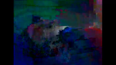 jejemotard online show from 11.19.25