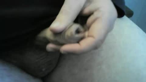 jellydaddy57 online show from 01.24.25