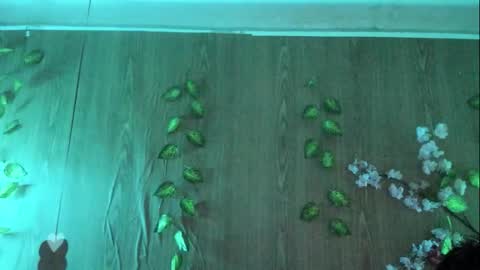 Snapshot of jenelotizz06 chatting on 09.27.25 Jenelotizz online show from 09.27.25