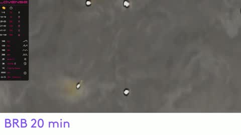 EvaSileZ online show from 09.09.25