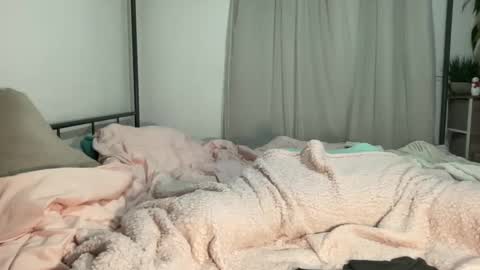 Snapshot of jenni_cash chatting on 12.11.24 Mistress Jenni online show from 12.11.24