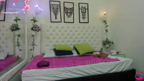 jenny_stark online show from 11.14.25