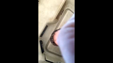 Snapshot of jesaj chatting on 11.26.25 jesaj online show from 11.26.25