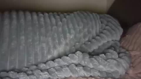 Snapshot of jesica2804 chatting on 02.11.25 jesica2804 online show from 02.11.25