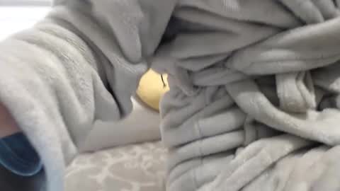 jessieryan online show from 01.17.25