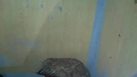 jillian_fuckdoll online show from 12.22.25