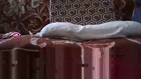 Snapshot of jimmyshelby12 chatting on 01.25.25 jimmyshelby12 online show from 01.25.25