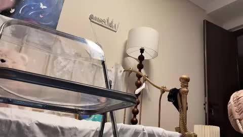 Snapshot of jingyan666 chatting on 02.04.26 meng meng online show from 02.04.26