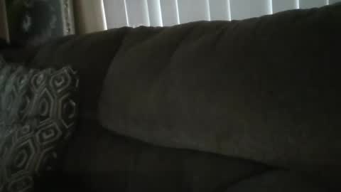 Snapshot of jj350ss chatting on 12.02.24 jj350ss online show from 12.02.24