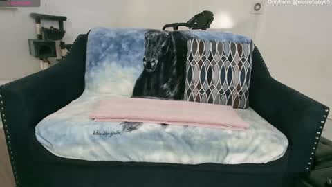 Snapshot of jjjust4fun1985 chatting on 01.01.25 Nicole Allen online show from 01.01.25