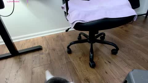 Snapshot of jjjust4fun1985 chatting on 12.03.25 Nicole Allen online show from 12.03.25