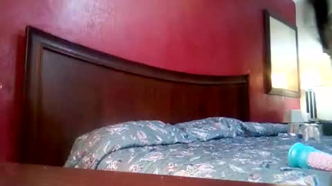 Snapshot of jmbaby chatting on 12.04.24 jmbaby online show from 12.04.24