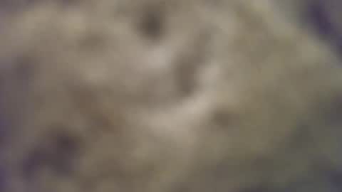 joemomma612 online show from 10.14.25