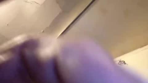 joemomma612 online show from 11.22.25