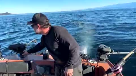 Snapshot of johnandmarie_ chatting on 10.05.25 johnandmarie_ online show from 10.05.25