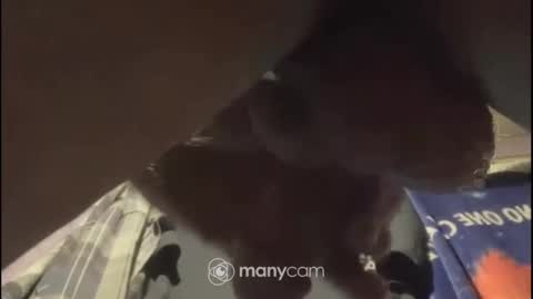 johnnyshung1 online show from 02.02.25