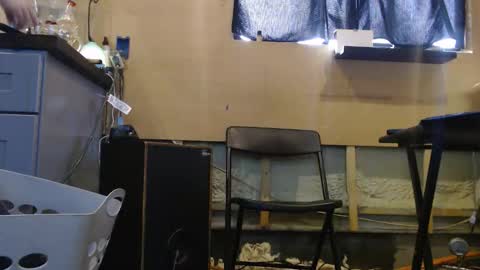 johnplayer23 online show from 12.22.25