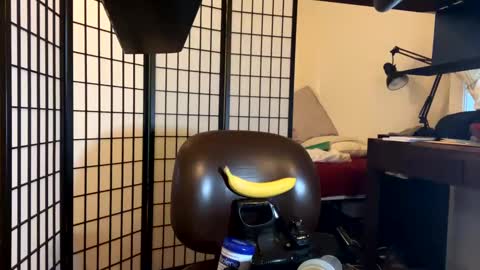 Snapshot of jondoe3657 chatting on 01.23.25 jondoe3657 online show from 01.23.25