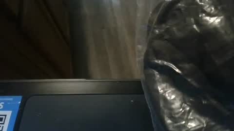 sissy josphine online show from 01.08.25