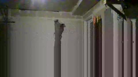 sissy josphine online show from 10.14.25