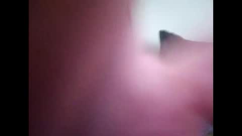 Snapshot of joshinterchecks chatting on 02.25.26 joshinterchecks online show from 02.25.26