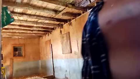 Snapshot of joshnewman540 chatting on 09.14.25 joshnewman540 online show from 09.14.25