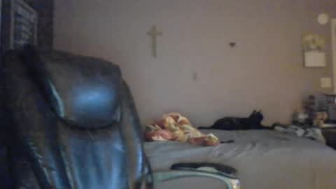 jpetz69257238 online show from 08.05.26