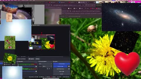 Snapshot of jpsunflower chatting on 10.13.25 JP Sunflower Angel Love online show from 10.13.25