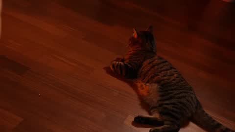 Snapshot of jseductiveart chatting on 02.03.25 Jennifer Diaz online show from 02.03.25