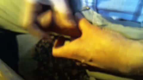 jt335577 online show from 01.27.25