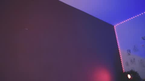 Arina online show from 12.26.24