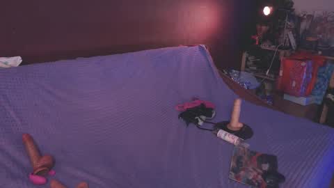 Arina online show from 01.26.25