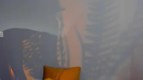 Snapshot of judymiles chatting on 02.14.25 Angelica online show from 02.14.25