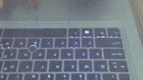 Champaign online show from 03.19.26