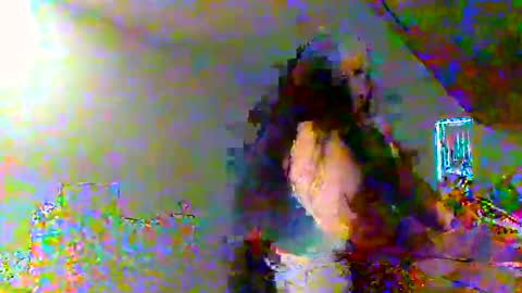 Snapshot of juicylatinabbw chatting on 02.20.26 juicylatinabbw online show from 02.20.26