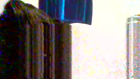 Snapshot of juicylatinabbw chatting on 03.31.26 juicylatinabbw online show from 03.31.26