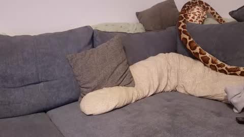 Snapshot of julia_official chatting on 11.11.25 julia_official online show from 11.11.25