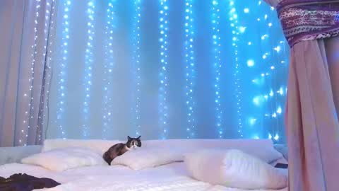 Snapshot of julia_renard chatting on 11.29.25 Julia online show from 11.29.25