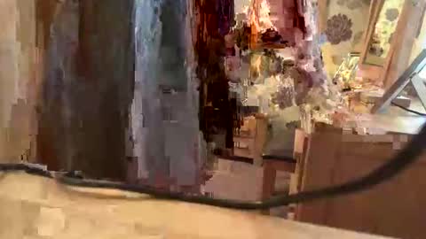 brian online show from 11.06.25