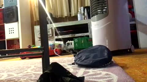 Snapshot of julieface87 chatting on 03.26.26 julieface87 online show from 03.26.26