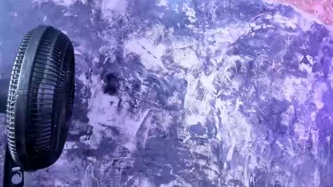 julietakane online show from 03.15.26