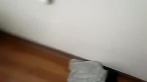 Snapshot of junior69king chatting on 01.01.25 manolito online show from 01.01.25