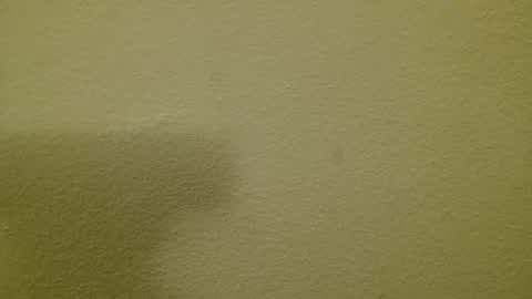 Just marlon online show from 03.03.25