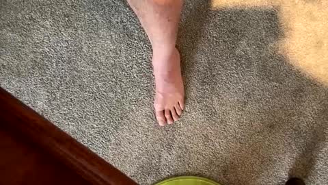 Snapshot of justanudedude chatting on 12.05.24 justanudedude online show from 12.05.24