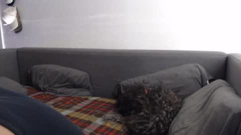 Snapshot of justasucker4u chatting on 11.20.25 justasucker4u online show from 11.20.25